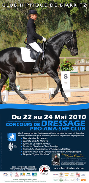 dressage